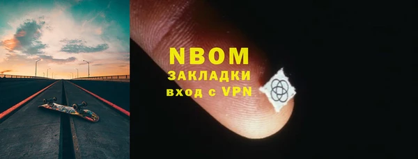 молекула духа Гатчина