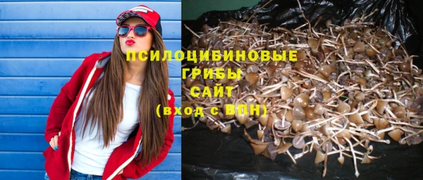 гидропоника Нея