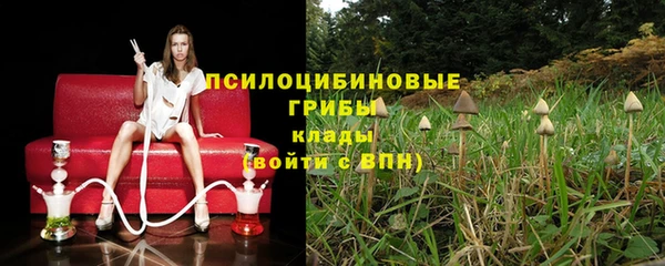 эйфоретик Новокубанск
