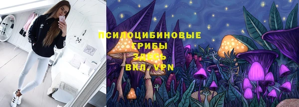 ешки Новозыбков