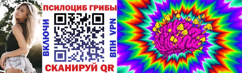 Галлюциногенные грибы Psilocybine cubensis  Знаменск 