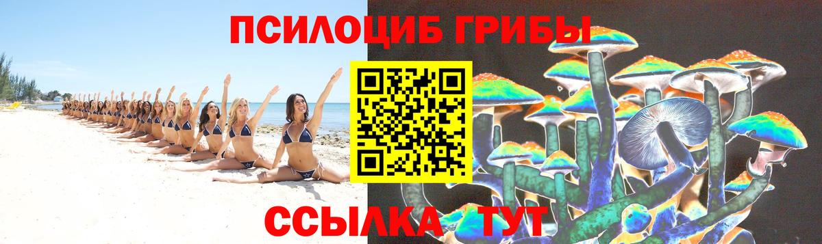 Псилоцибиновые грибы GOLDEN TEACHER Знаменск