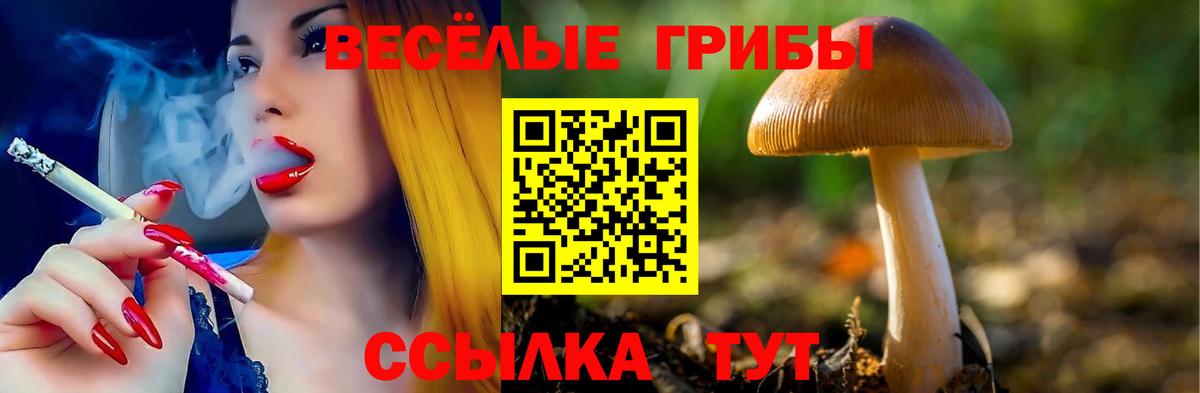Галлюциногенные грибы мицелий  Вход с VPN  Галлюциногенные грибы прущие грибы  Знаменск 